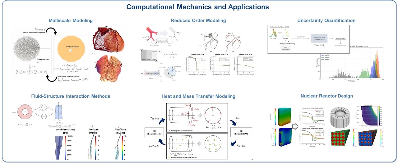 Computational mechanics and biomechanics research overview